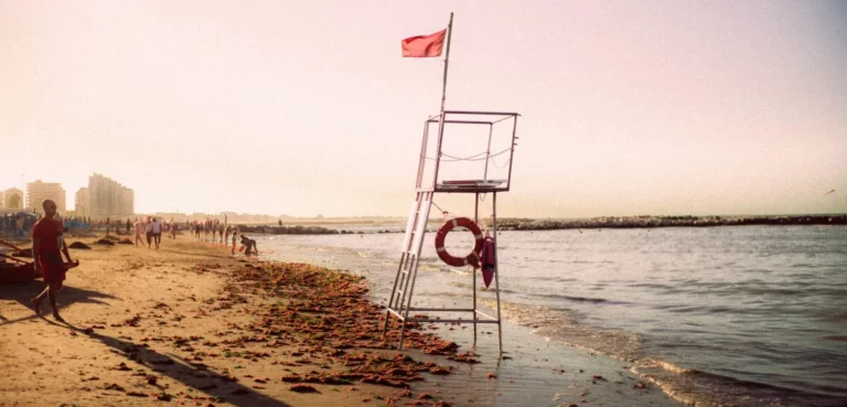 7 Water Safety Recertification Essentials American Lifeguard Blog Cover Image