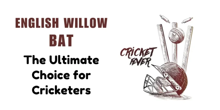 English Willow Bat - The Ultimate Choice for Cricketers